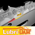 logo_Lubridam